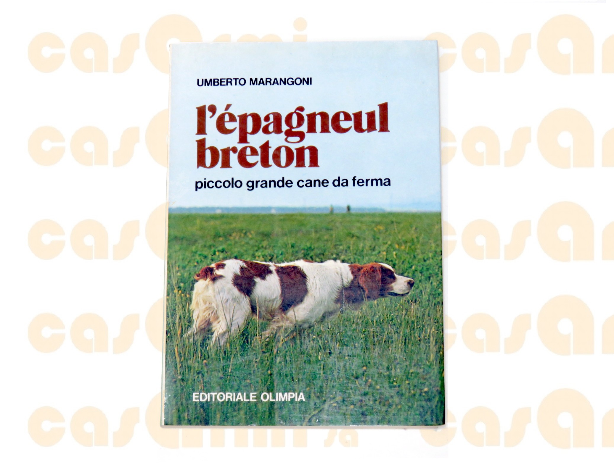  L'épagneul bréton, di Umberto Marangoni, editoriale Olimpia 